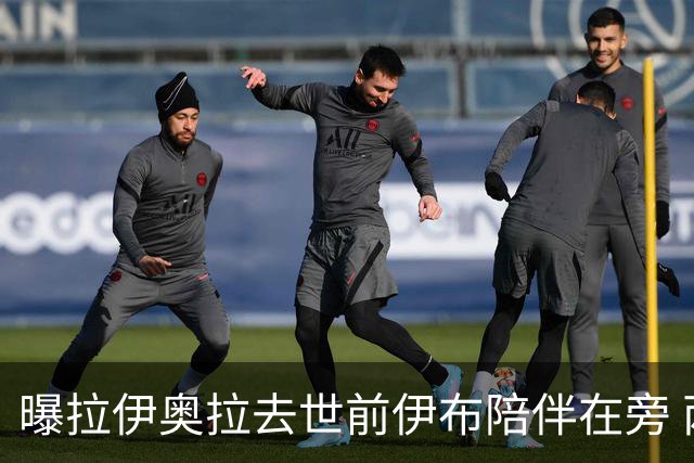 曝拉伊奥拉去世前伊布陪伴在旁 两人合作多年